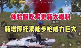 最新版吃鸡爆料,揭秘游戏新版本神秘内容与玩法革新